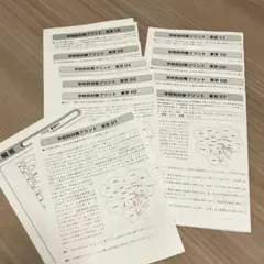 サピックス 6年 社会 SS特訓　開成　学校別対策プリント 東京プリント
