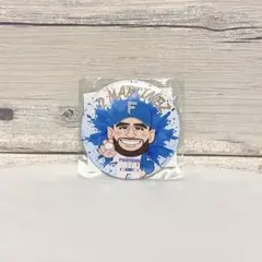 北海道日本ハムファイターズ 缶バッジ アリエル・マルティネス