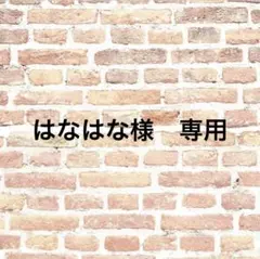はなはな様 リクエスト 2点 まとめ商品