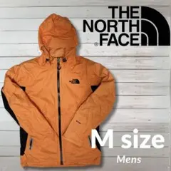 Item thumbnail for item 6fa6b485-be9d-43aa-83ab-e930cfa17de3