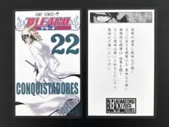 BLEACH ブリーチ 巻頭歌骨牌 22巻 ウルキオラ かるた