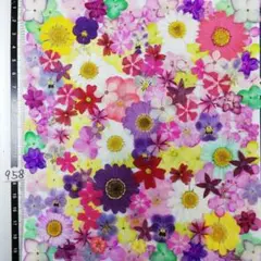 押し花素材　NO958 ノースボール ビオラ 紫陽花　バーベナ 小花 押し花