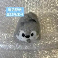 Stray Kids スキズ SKZOO ウルフチャン RUN IT