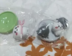 チョコサプ ちいかわ ラジオ体操