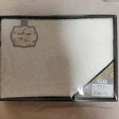 Item thumbnail for item 5145345f-f7b7-4fca-82f6-fe92c4c4c34d