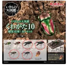 【新品】ガシャポンオンライン版 いきもの大図鑑 くわがた10 樹皮台座付き