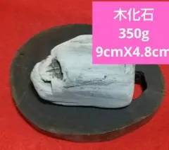 2025年最新】珪化木 化石の人気アイテム - メルカリ