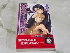 加速する視線 義月粧子 リンクスロマンス