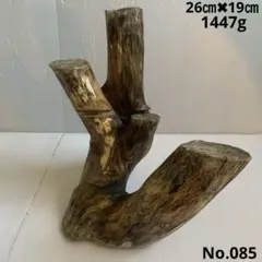 アク抜き済み流木　No.085 止まり木　爬虫類、両生類