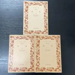 阿呆物語』上中下3冊セット グリンメルスハウゼン作 望月市恵 訳 岩波