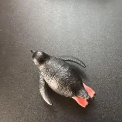 ペンギン カプセルトイ 2種セット
