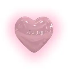 ハヌリ様 ✧ オーダーネイルチップ