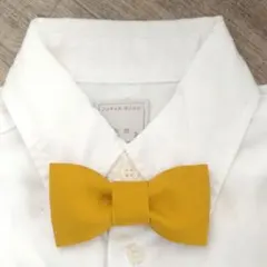 Item thumbnail for item c0c1f0b5-c4e5-4abe-8608-8b0b105ae1bc