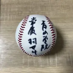 オリックス 球団公式 金子千尋 直筆サインボール 練習球 ケース付き