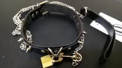 Item thumbnail for item f1d6308f-b73b-4613-994b-687f9b7d8923