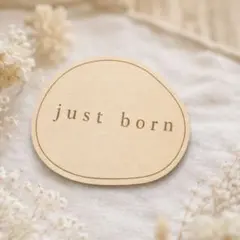 木製 Just Born カード 月齢フォト 記念日　ジャストボーン