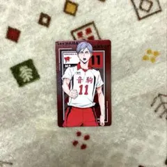 【ハイキュー】No.30灰羽リエーフ（メタリックカード）