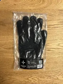BTS THE WINGS TOUR THE FINAL 手袋 gloves