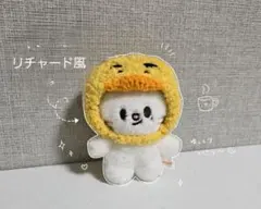 straykids スキズ skzoo 10cm ぬいぐるみ ぬい服 ジニレット