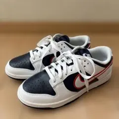 NIKE ナイキ ★ DUNK LOW ダンクロー 25㎝ 白 赤 濃紺