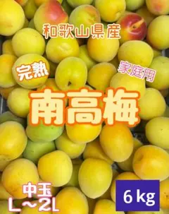 Nana 様 山梨県産 20kg 新鮮 中熟～完熟 甲州小梅 - メルカリ