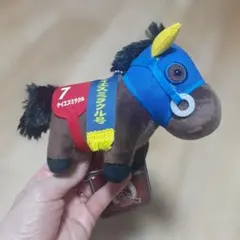 サラブレッドコレクション　ケイエスミラクル