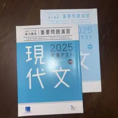 《解答付き》現代文 2025 共通テスト 問題集