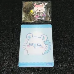 古本屋　カニちゃん　モモンガ　13