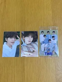 TWS SHINYU カード　ステッカー　　シニュ