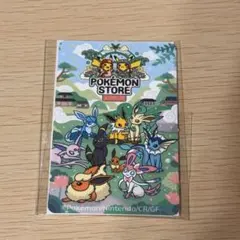 ポケモンカード イーブイ シリーズ中国限定 キーホルダー 全種類