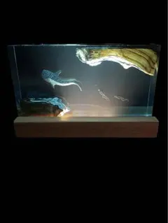 Item thumbnail for item 1120283b-3061-4c9f-b6d0-f2887aa96a79