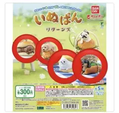 いぬぱん　リターンズ　４個セット