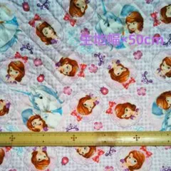 Item thumbnail for item 0194b63f-9506-4704-baff-da219c7c0087