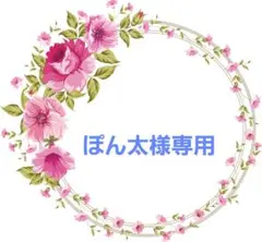 ANNA SUI 犬服ワンピースL、 ANNA SUI犬服Lのサムネイル