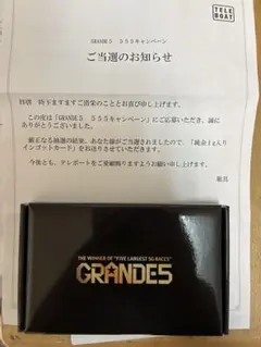 限定555枚 GRANDE5 純金1g入り インゴットカード テレボート 当選品