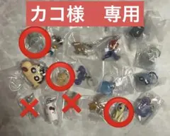 カコ様　専用　めじるしアクセサリー6点