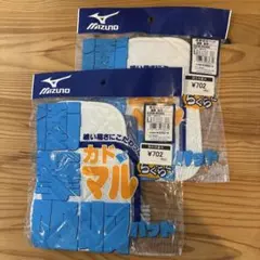 Item thumbnail for item 344fc00a-1418-47e0-97a1-f795d6478d2d