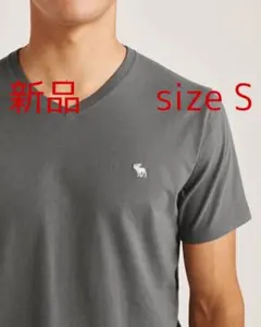 新品 正規品 アバクロンビー&フィッチ 半袖アイコン VネックTシャツ DGS