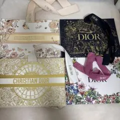 Dior ショップ袋セット ４枚セット