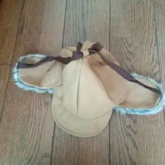 パイロットキャップ