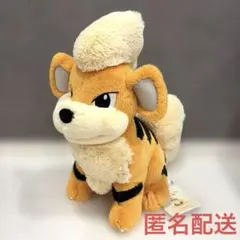 でんせつポケモン　ウィンディ　2015年　ポケモンセンター　ぬいぐるみ　レア でんせつポケモン ウィンディ 2015年 ポケモンセンター ぬいぐるみ