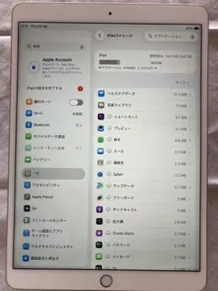 iPad Air3 64GB Cellular モデル