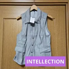 INTELLECTION ベストのサムネイル