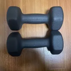 SONGMICS 4KG ダンベル