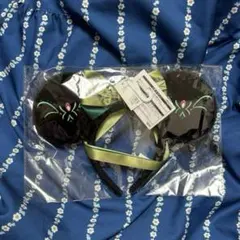 ファンタジースプリングス　アナ雪　カチューシャ　アナ　エルサ　ファンキャップ