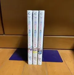 捨てられ男爵令嬢は黒騎士様のお気に入り (1~3巻)