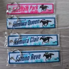 JRA 函館競馬場 フライトタグ 2個セット サトノレーヴ ナムラクレア