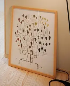 新品未使用 山口一郎 / Giclee（ジクレー印刷）「ミモザ」 - メルカリ
