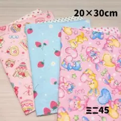 ミニ45 ランチョンマット　20×30 ハンドメイド　女の子　幼稚園　保育園