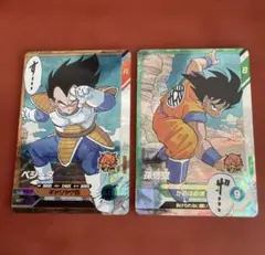 アドバンスパック　SR セット